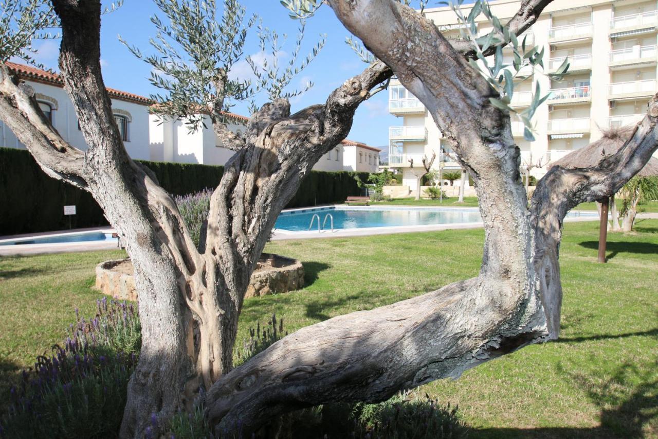 Apartment Pelicanos *